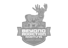 beyond-addiction-partner-logo