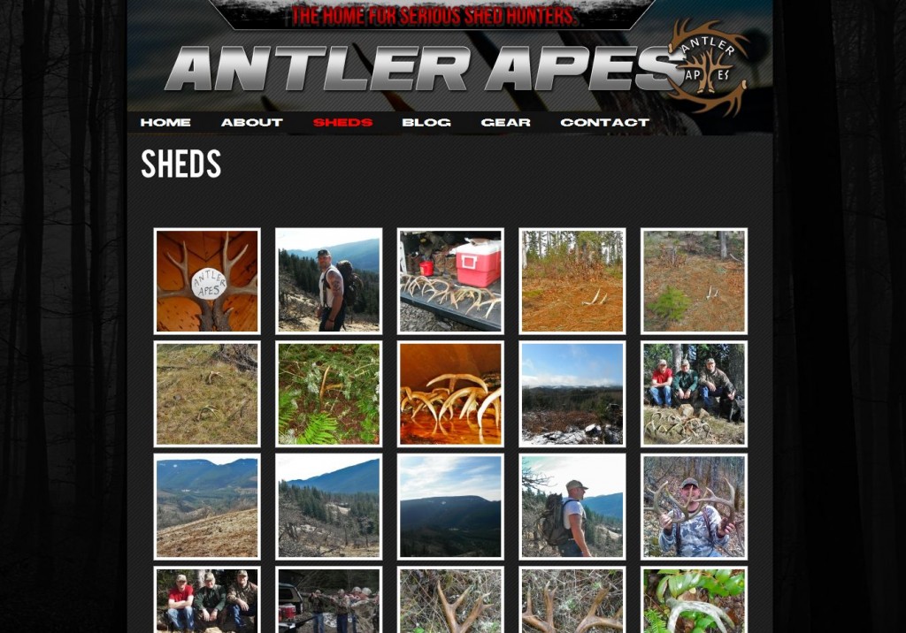 Antler Apes Photos