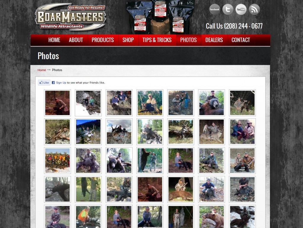 Boarmasters Wildlife Attractants Photo Gallery